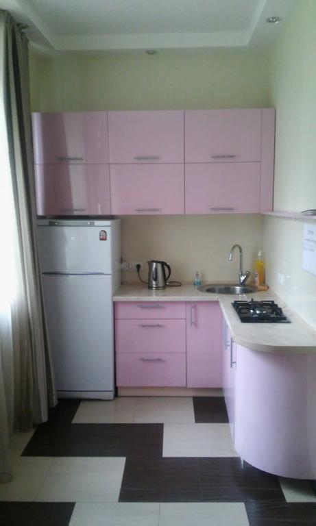 Apartment At Komsomolska 52А Dnyipropetrovszk Kültér fotó